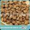 Wholesale Price Apricot Kernel Seed for Sale