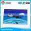 aircraft 3D effect lenticular card for game playing