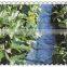 HDPE weed resistant net