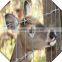 high quality galvanized field fence for sale / sheep fence / galvanized fiedl fence for sale