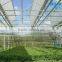 BaoLiDa Zigzag Large Ventilation Low Cost Polycarbonate Greenhouse