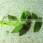 Home and outdoor garden edging christmas decoration 60cm or 24inches Height artificial small grass for green wall E04 1007