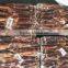 frozen illex argentinus squid for sale