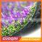 30mm purple color PE Synthetic Lawn for children's activity centers