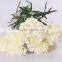 Hot Selling Natural Carnation Flowers Single Head in China