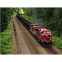 Air/railway/road/sea/express Logistics Service to Russia Moscow