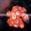 1.5M 10 LED Rose String Lights Battery Operated Party Holiday Wedding Decoration light