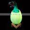 2020 new Christmas decorations Night Light Rechargeable Usb 3d Led Dinosaur for boy