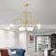 Indoor Style Lighting Designer Pendant Lamp Modern Glass Chandelier Lamp