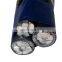 Aerial Bounded Cable 2x10mm2 2x16mm2 4x10mm2 4x16 ABC Cable With Market Price
