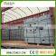 China Dark Grey Granite, China Impala Black Granite