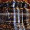 Imperial Black Marble from Quarry Owner, black marble