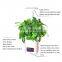 Pots For Succulent Plants Grow Lights Led Table Lamps Growing Led Light For Plant Growth Music Player With Clock