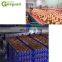 Factory direct supplier electronic automatic egg sorting machine