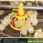 poultry farm for sale
