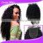 virgin indian kinky curly top closure