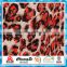 DTY textiles digital printed polyester spandex fabric with Oeko-Tex Standard 100 Certification