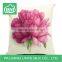 square HD digital printing cushions
