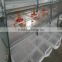 China broiler chicken farming from Factory-Commercial Poultry Housing/Broiler chicken cage