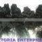 Chocolate Human Hair Grade 7A Human Hair Clean