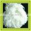 Nylon6 staple fiber PA fiber polyamide fiber