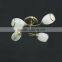 Indoor Ceiling lamps