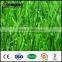 Natural Grass Soccer Field Fifa Approved Turf