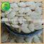 hot sale shine skin pumpkin seeds