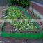 2015 garden plastic fence for flower/vegetable