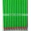 Black Lead Bright Green Fluorescent paint HB Plastic Pencil with Eraser