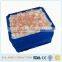 1000L roto plastic cooler for carrying fish raw fish frozen fish in ice