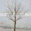 Custom Wedding Decoration Artificial Dry Tree