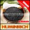 Huminrich Strong Disease Resistance Plant Fertilizer 55%Ha+8%K2O Humic Acid Potassium Salt Factory