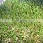 2016 Hydroponic Farm Fodder Growing System for Poultry/Livestock