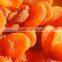 Dried Apricot