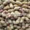 2014 Crop Chinese Peanut Kernel
