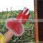 Red Fox fur glove Leather Gloves Cute Girls Warm Genuine Fur Cuffs Mittens