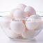 electric egg steamer / egg cooker / egg warmer /egg boiler