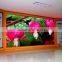 2015 Perfect Showing Effect P5 Indoor Full Color LED Display
