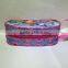 Pretty So fia Girls School Pencil Case for Kids