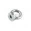 DIN582 Industrial crane lifting eye nut