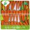 Plush bulk carrot