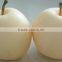 good taste and high quality crown pear from hebei
