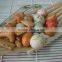 HACCP Grain Snacks flavors rice crackers