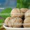 Raw Processing Type Fresh Style Ordinary Walnuts with Shell