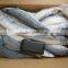 Pacific mackerel frozen marine fish seafood supplier