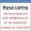 Bigoga LED Gas Station Canopy Light Company