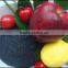 Humic Acid Extraction, Granular Soil Conditioner