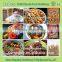 Breakfast cereals corn flakes machine