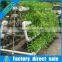 2017 Huifa Commercial Professional Hydroponic Greenhouse Systems